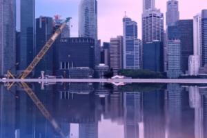 菊花脑怎样种植栽培 核桃种菊花视频