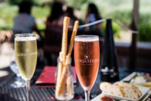 闲时浇花草的正确方法 浇花小窍门大全