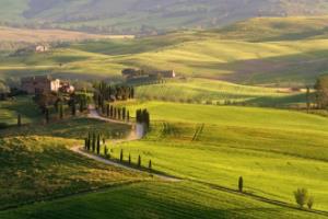 冬季花卉养护的实用技巧 冬季花卉养护方法和细节