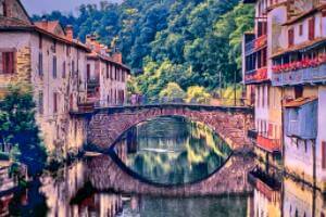 棕榈的种植方法和注意事项 棕榈的价值和栽培技术